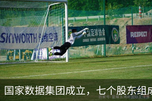 国家数据集团成立，七个股东组成天团
